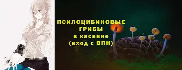 бутират Сатка