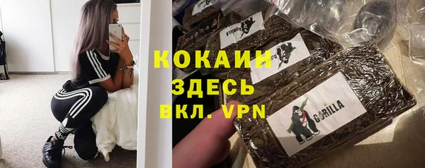 мяу мяу мука Абаза