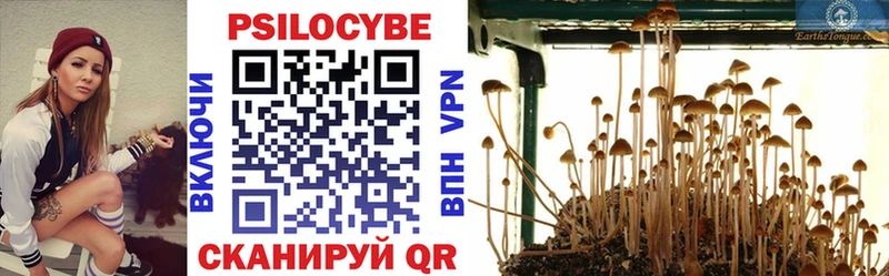 Псилоцибиновые грибы Psilocybine cubensis  цена   Вытегра 